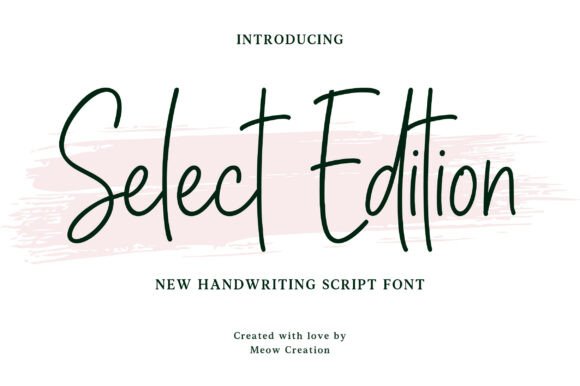 Select Edition: A Natural Script Font for Branding