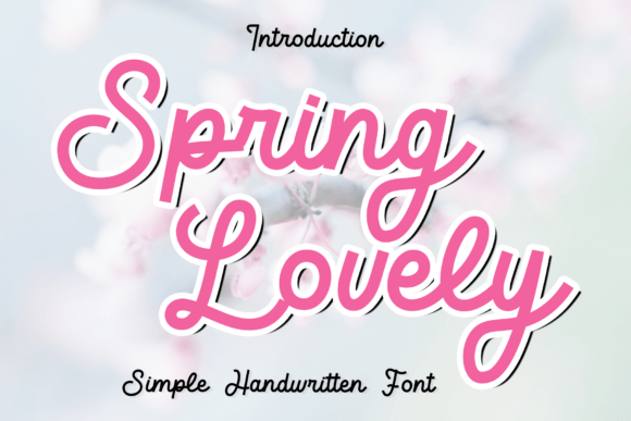 Spring Lovely Font: A Designer’s Campaign Review