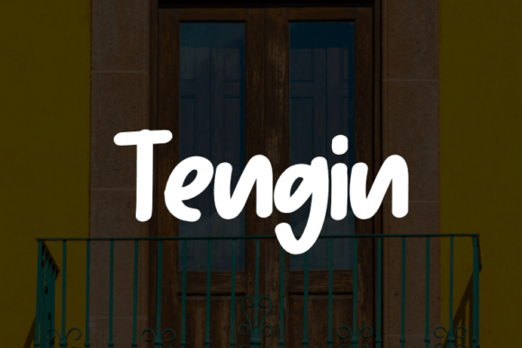 Tengin Typeface: A Polished Look for Small Brands